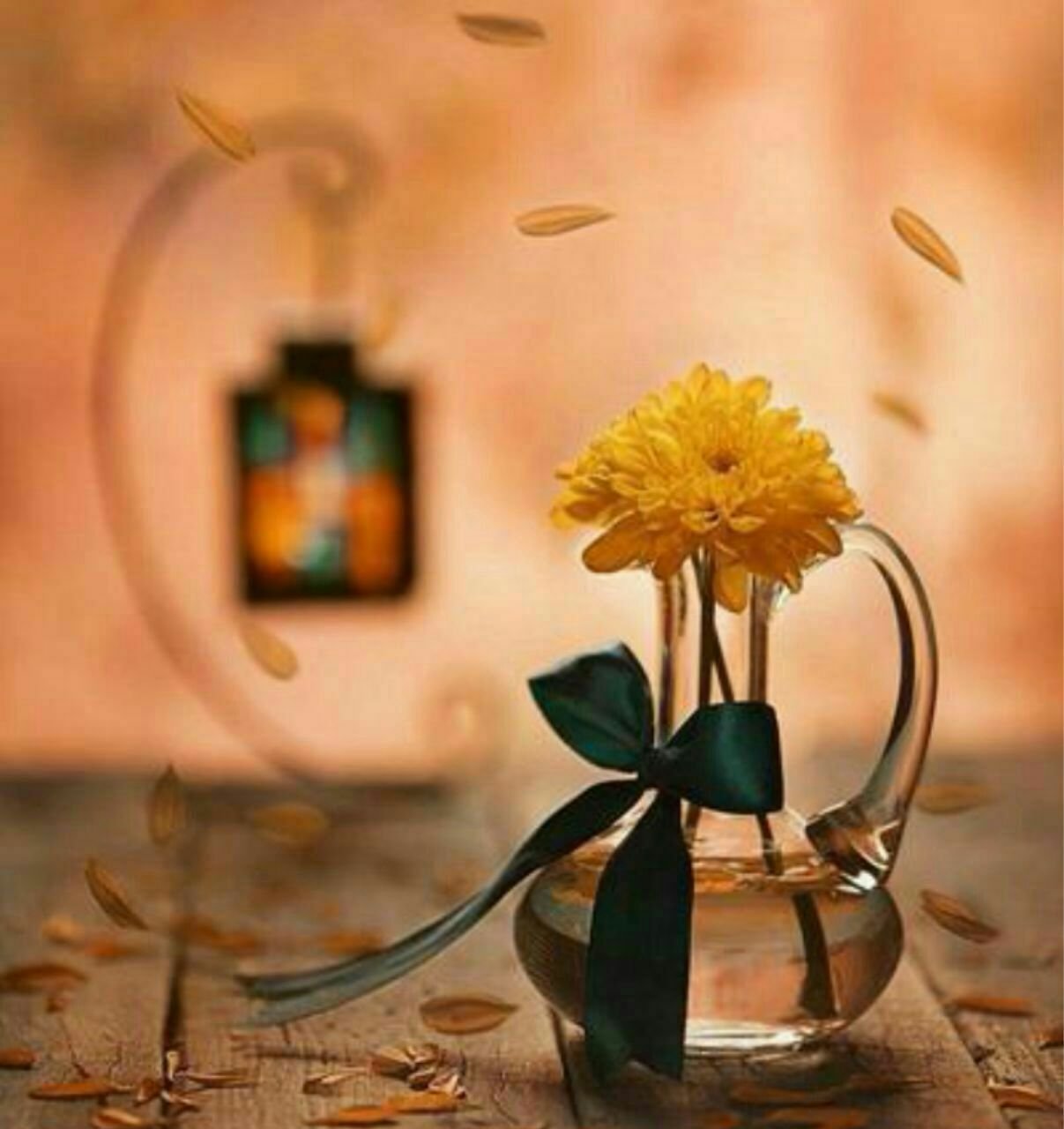 علی رضایی